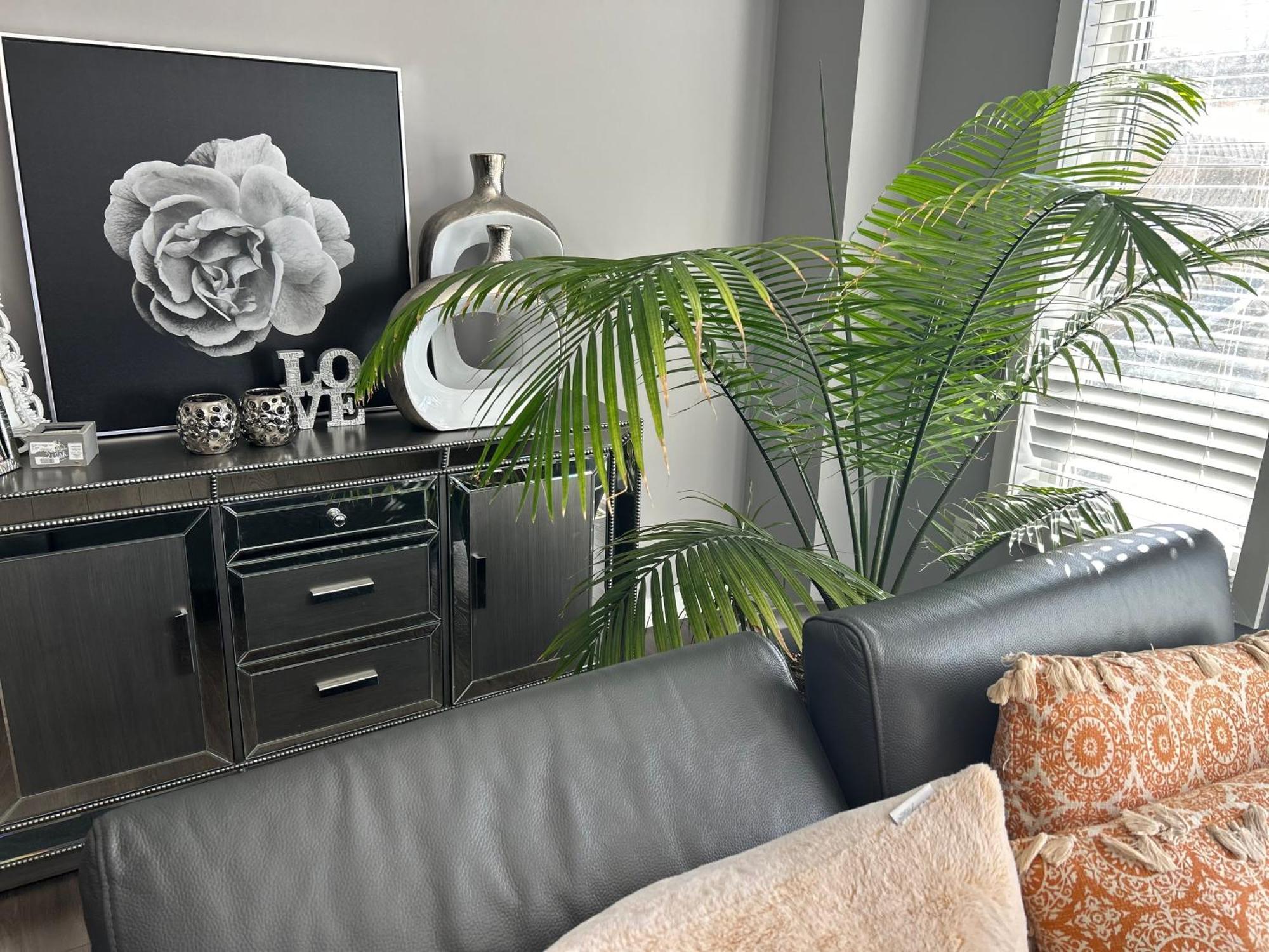 Apartamento Jahsavvy'S Nest Hamilton Exterior foto